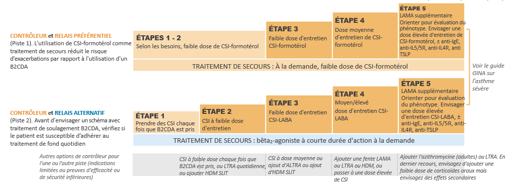 schema