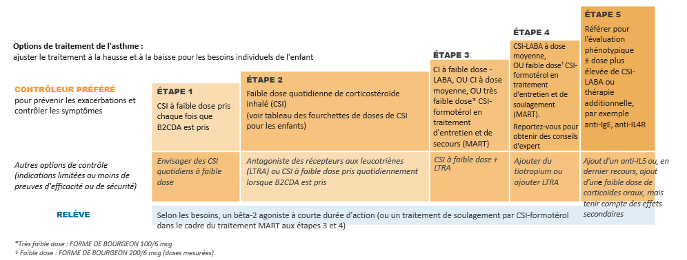 schema